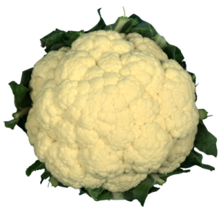 KYI-072 Cauliflower From Known You Seed (India)-KYI